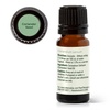 image:imagePlant Therapy Coriander Seed Essential Oil 10 mL 13 oz 100 Pure Undiluted Calming Aromatherapy for Muscle Soreness and Digestive Discomfort