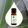 image:imagePlant Therapy Eucalyptus Dives Essential Oil 10 mL 13 oz 100 Pure Undiluted Stimulating Aromatherapy Oil for Diffusing Clearing amp Refreshing