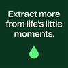 image:imagePlant Therapy Eucalyptus Dives Essential Oil 10 mL 13 oz 100 Pure Undiluted Stimulating Aromatherapy Oil for Diffusing Clearing amp Refreshing