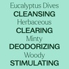 image:imagePlant Therapy Eucalyptus Dives Essential Oil 10 mL 13 oz 100 Pure Undiluted Stimulating Aromatherapy Oil for Diffusing Clearing amp Refreshing