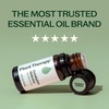 image:imagePlant Therapy Eucalyptus Globulus Essential Oil 10 mL 13 oz