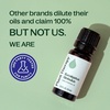 image:imagePlant Therapy Eucalyptus Globulus Essential Oil 10 mL 13 oz