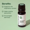 image:imagePlant Therapy Eucalyptus Globulus Essential Oil 10 mL 13 oz