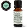 image:imagePlant Therapy Eucalyptus Mint Essential Oil Blend 10 mL 13 oz 100 Pure Undiluted Invigorating Breathe Easier Aromatherapy Blend for Diffusers Home Shower Aromatherapy
