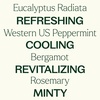 image:imagePlant Therapy Eucalyptus Mint Essential Oil Blend 10 mL 13 oz 100 Pure Undiluted Invigorating Breathe Easier Aromatherapy Blend for Diffusers Home Shower Aromatherapy
