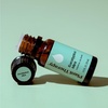 image:imagePlant Therapy Eucalyptus Mint Essential Oil Blend 10 mL 13 oz 100 Pure Undiluted Invigorating Breathe Easier Aromatherapy Blend for Diffusers Home Shower Aromatherapy