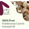 image:imagePlant Therapy Frankincense Carterii Essential Oil 10 mL 13 oz 100 Pure Undiluted Natural Aromatherapy Soothing Essential Oil for Meditation Skin Irritation and Sore Muscle Relief
