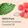image:imagePlant Therapy Geranium Bourbon Essential Oil 10 mL 13 oz