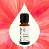 image:imagePlant Therapy Geranium Bourbon Essential Oil 10 mL 13 oz