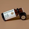 image:imagePlant Therapy Ginger Steam Distilled Essential Oil 10 mL 13 oz 100 Pure Undiluted Natural Aromatherapy
