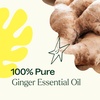 image:imagePlant Therapy Ginger Steam Distilled Essential Oil 10 mL 13 oz 100 Pure Undiluted Natural Aromatherapy