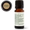 image:imagePlant Therapy Ginger Steam Distilled Essential Oil 10 mL 13 oz 100 Pure Undiluted Natural Aromatherapy
