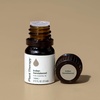 image:imagePlant Therapy Indian Sandalwood Essential Oil 25 mL 112 oz 100 Pure Undiluted Soothing Essential Oils for Skin Relaxation and Restful Sleep