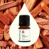 image:imagePlant Therapy Indian Sandalwood Essential Oil 25 mL 112 oz 100 Pure Undiluted Soothing Essential Oils for Skin Relaxation and Restful Sleep