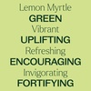 image:imagePlant Therapy Lemon Myrtle Essential Oil 10 mL 13 oz