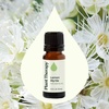 image:imagePlant Therapy Lemon Myrtle Essential Oil 10 mL 13 oz