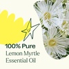 image:imagePlant Therapy Lemon Myrtle Essential Oil 10 mL 13 oz