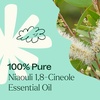 image:imagePlant Therapy Niaouli 18Cineole Essential Oil 10 mL 13 oz 100 Pure Undiluted Aromatherapy Soothing Essential Oils for Skin Irritation and Muscle Soreness