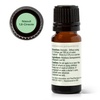 image:imagePlant Therapy Niaouli 18Cineole Essential Oil 10 mL 13 oz 100 Pure Undiluted Aromatherapy Soothing Essential Oils for Skin Irritation and Muscle Soreness