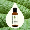 image:imagePlant Therapy Oregano Essential Oil 30 mL 1 oz