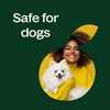 image:imagePlant Therapy Organic Lemongrass Essential Oil 10 mL 13 oz 100 Pure USDA Certified Organic Undiluted Aromatherapy Deodorizing and Immune Support