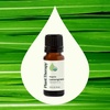 image:imagePlant Therapy Organic Lemongrass Essential Oil 10 mL 13 oz 100 Pure USDA Certified Organic Undiluted Aromatherapy Deodorizing and Immune Support