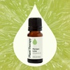 image:imagePlant Therapy Persian Lime Essential Oil 10 mL 13 oz Pure Undiluted