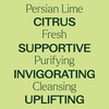 image:imagePlant Therapy Persian Lime Essential Oil 10 mL 13 oz Pure Undiluted
