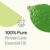image:imagePlant Therapy Persian Lime Essential Oil 10 mL 13 oz Pure Undiluted