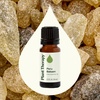 image:imagePlant Therapy Peru Balsam Essential Oil 10 mL 13 oz 100 Pure Undiluted Calming Aromatherapy for Emotional Balance and Clear Breathing