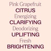 image:imagePlant Therapy Pink Grapefruit Essential Oil Pink 30 mL 1 oz 100 Pure Undiluted for Aromatherapy Skin Hair amp Home