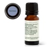 image:imagePlant Therapy Ravintsara Essential Oil 10 mL 13 oz 100 Pure Undiluted Stimulating Aromatherapy for Respiratory Support and Joint Ache Relief