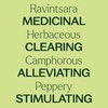 image:imagePlant Therapy Ravintsara Essential Oil 10 mL 13 oz 100 Pure Undiluted Stimulating Aromatherapy for Respiratory Support and Joint Ache Relief