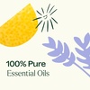 image:imagePlant Therapy Sleep Easy Essential Oil Blend Set 10 mL 13 oz Each of Relax Sleep Tight amp Unwind Pure Undiluted Essential Oil Blends