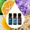 image:imagePlant Therapy Sleep Easy Essential Oil Blend Set 10 mL 13 oz Each of Relax Sleep Tight amp Unwind Pure Undiluted Essential Oil Blends