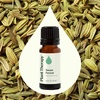 image:imagePlant Therapy Sweet Fennel Essential Oil 10 mL 13 oz 100 Pure Undiluted Aromatherapy for Attention Focus and Digestive Discomfort