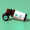 image:imagePlant Therapy Sweet Fennel Essential Oil 10 mL 13 oz 100 Pure Undiluted Aromatherapy for Attention Focus and Digestive Discomfort