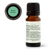 image:imagePlant Therapy Sweet Fennel Essential Oil 10 mL 13 oz 100 Pure Undiluted Aromatherapy for Attention Focus and Digestive Discomfort