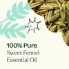 image:imagePlant Therapy Sweet Fennel Essential Oil 10 mL 13 oz 100 Pure Undiluted Aromatherapy for Attention Focus and Digestive Discomfort