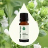 image:imagePlant Therapy Sweet Marjoram Essential Oil 10 mL 13 oz 100 Pure Undiluted Soothing Aromatherapy