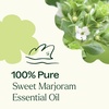 image:imagePlant Therapy Sweet Marjoram Essential Oil 10 mL 13 oz 100 Pure Undiluted Soothing Aromatherapy