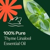 image:imagePlant Therapy Thyme Linalool Essential Oil 10 mL 13 oz 100 Pure Thyme Essential Oil Undiluted Immune Support