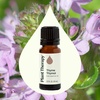 image:imagePlant Therapy Thyme Thymol Essential Oil 10 mL 13 oz 100 Pure Undiluted Natural Aromatherapy for Immune Support and Digestive Relief