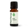 image:imagePlant Therapy Basil Linalool Essential Oil 10 mL 13 oz 100 Pure Undiluted Aromatherapy for Muscle Soreness and Digestive Discomfort