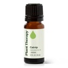 image:imagePlant Therapy Catnip Essential Oil 10 mL 13 oz 100 Pure Undiluted Natural Aromatherapy for Out Door Activities Respiratory Support and Digestive Relief