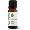 image:imagePlant Therapy Eucalyptus Dives Essential Oil 10 mL 13 oz 100 Pure Undiluted Stimulating Aromatherapy Oil for Diffusing Clearing amp Refreshing