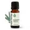 image:imagePlant Therapy Eucalyptus Globulus Essential Oil 10 mL 13 oz