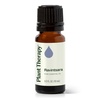 image:imagePlant Therapy Ravintsara Essential Oil 10 mL 13 oz 100 Pure Undiluted Stimulating Aromatherapy for Respiratory Support and Joint Ache Relief