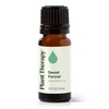 image:imagePlant Therapy Sweet Fennel Essential Oil 10 mL 13 oz 100 Pure Undiluted Aromatherapy for Attention Focus and Digestive Discomfort