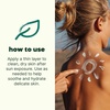 image:imagePlant Therapy Kids Sun Relief Aloe Jelly 4 oz Gentle AfterSun Care Cools amp Calms Skin NonSticky amp FastAbsorbing Outdoor Essentials